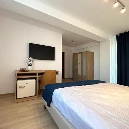 Guest house Vilea 3*